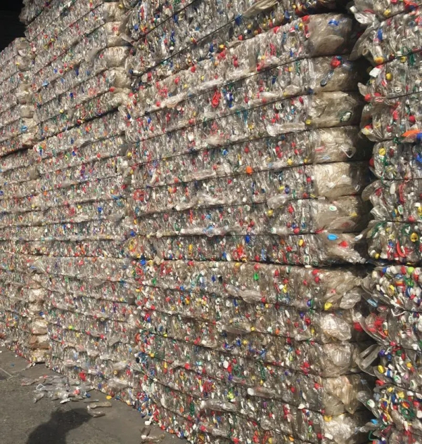 5.webp_编辑 5.webp_编辑