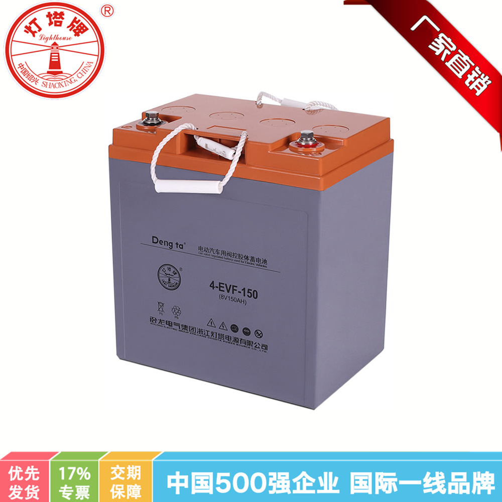 卧龙卧龙/灯塔 动力蓄电池 电动车电池组VEF