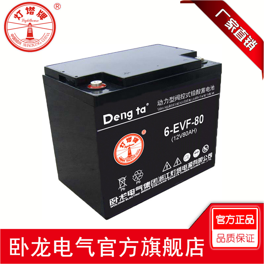 卧龙卧龙/灯塔 动力蓄电池 电动车电池组VEF