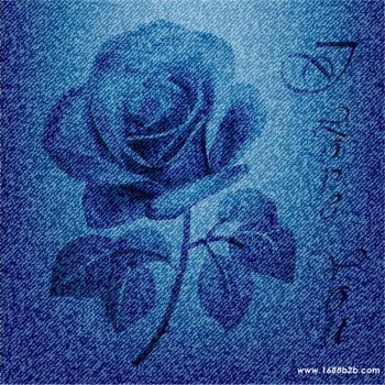 牛仔布料激光烧花机 打造牛仔个性化花纹 三工激光烧花机品牌厂家