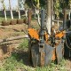农业移植树木专用机械 四瓣移树机电磁阀操作 山东厂家直销