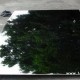 8K、10K镜面304不锈钢导光板