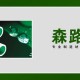 浙江商标转让17类水管装置建筑材料合成橡胶品牌森路达转让