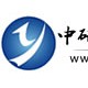 中国塑料蓄电池外壳发展态势与竞争策略分析报告2019-2024年