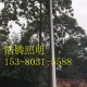 供应漳州锂电池蓄电池太阳能路灯哪家质量好