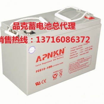 品克蓄电池 APNKN蓄电池-网站