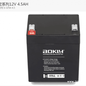 UPS不间断电源小密12V4.5AH