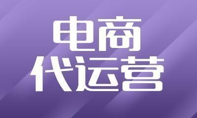 杭州 天猫代运营代运营上海五星TP服务商 宝翔电商