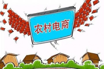 未来的创业风口、商机红利在哪里？蒋昊：农村+电商