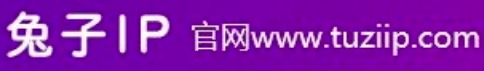 高质量代理IP首选兔子动态IP满足对IP的一切业务需求
