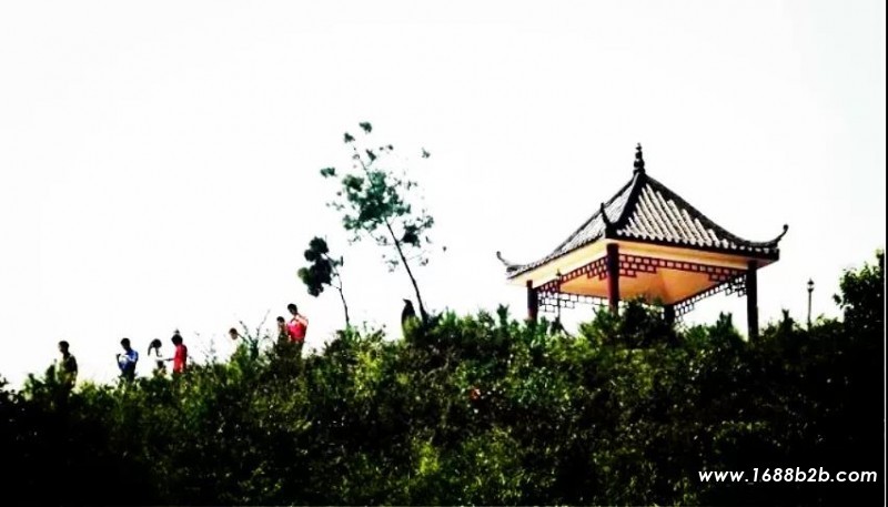 微信图片_20200727154155