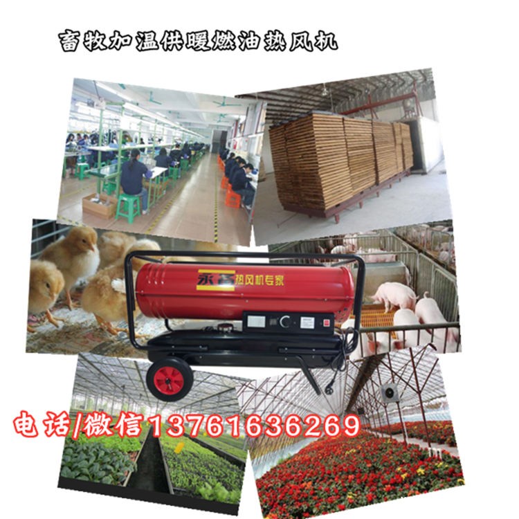 畜牧加温供暖燃油热风机