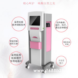 多功能低频电子治疗仪原理