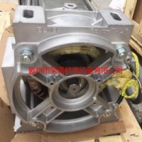 进口ELMO45KW四级油侵式电机图2