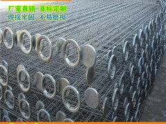 除尘器不锈钢骨架除尘骨架