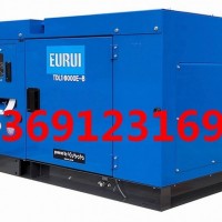 日本进口东洋柴油发电机TDL16000E-B