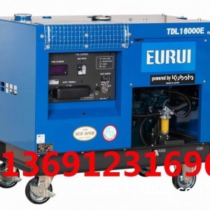 日本进口柴油发电机TDL16000E