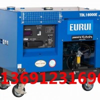 日本进口柴油发电机TDL16000E