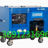 东洋发电机TDL11000E