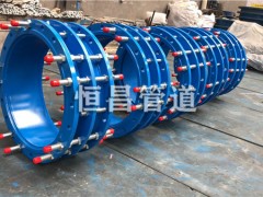 新疆管道伸缩节DN250mm实体厂家