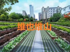 江苏维也维山：生态挡墙重现“水清岸绿”