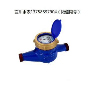 DN15 DN20 半液封水表
