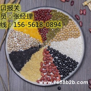 天津进口清关代理公司