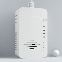 深圳安泰3C新国标家用燃气探测器AT-302图3