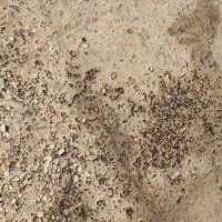 砾石混凝土，砾石混凝土路面 砾石混凝土地坪供应图3