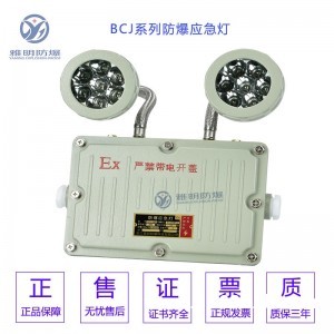 BCJ-2.*5WExdIICT4防爆双头应急灯