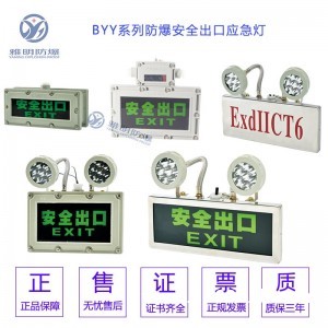 STBCJ-10WAC220V壁挂式防爆双头应急灯