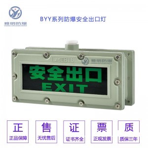 BAJ52-LEDAC220V2*3W防爆双头应急灯