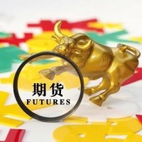 智星系统即将成为国际期货主流交易软件