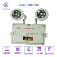 BCJ52-2×5W110VExdⅡCT6防爆应急灯图2