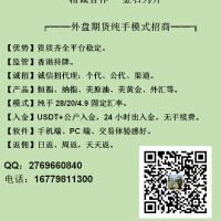 国际期货最新模式预留低全返汇差