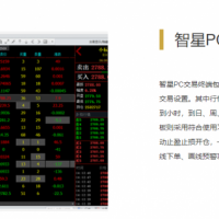 稳健老平台国际期货代理招商+智星交易系统