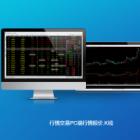 配套最完善的中阳国际期货平台代理招商