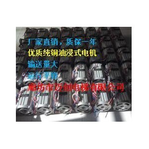 厂家供应家用电梯1.5KW油浸式电机