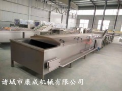 豌豆预煮机 玉米粒预煮机 大型蔬菜漂烫线厂家