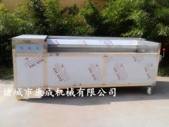 芥菜清洗机 荸荠清洗机 小型土豆脱皮机