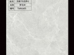 只发工地 厂家直销 报喜来陶瓷 沃尔高陶瓷 防滑 工程瓷砖