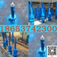 井下防爆电液推杆直式DYTZ2吨推力型防爆电机