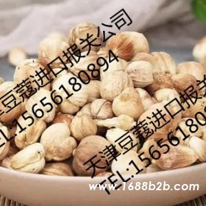 北京豆蔻进口报关公司