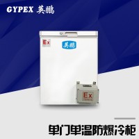工业低温防爆冰箱 单门但温
