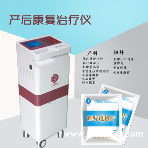 （东璧）产后康复治疗仪