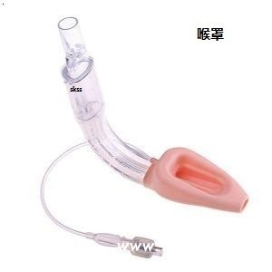 医用喉罩的价格