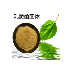 乳酸菌 固体发酵 净化养殖水体 调节肠道 厂家