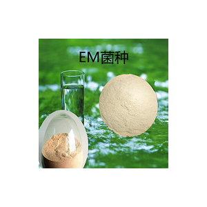 EM菌 批发零售 水产养殖 农业 微生物菌剂EM菌粉