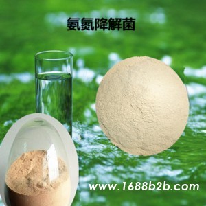 氨氮降解菌降解氨氮 亚硝酸盐含量 污水处理