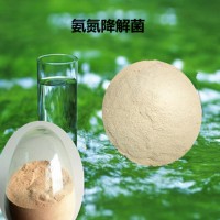 氨氮降解菌降解氨氮 亚硝酸盐含量 污水处理